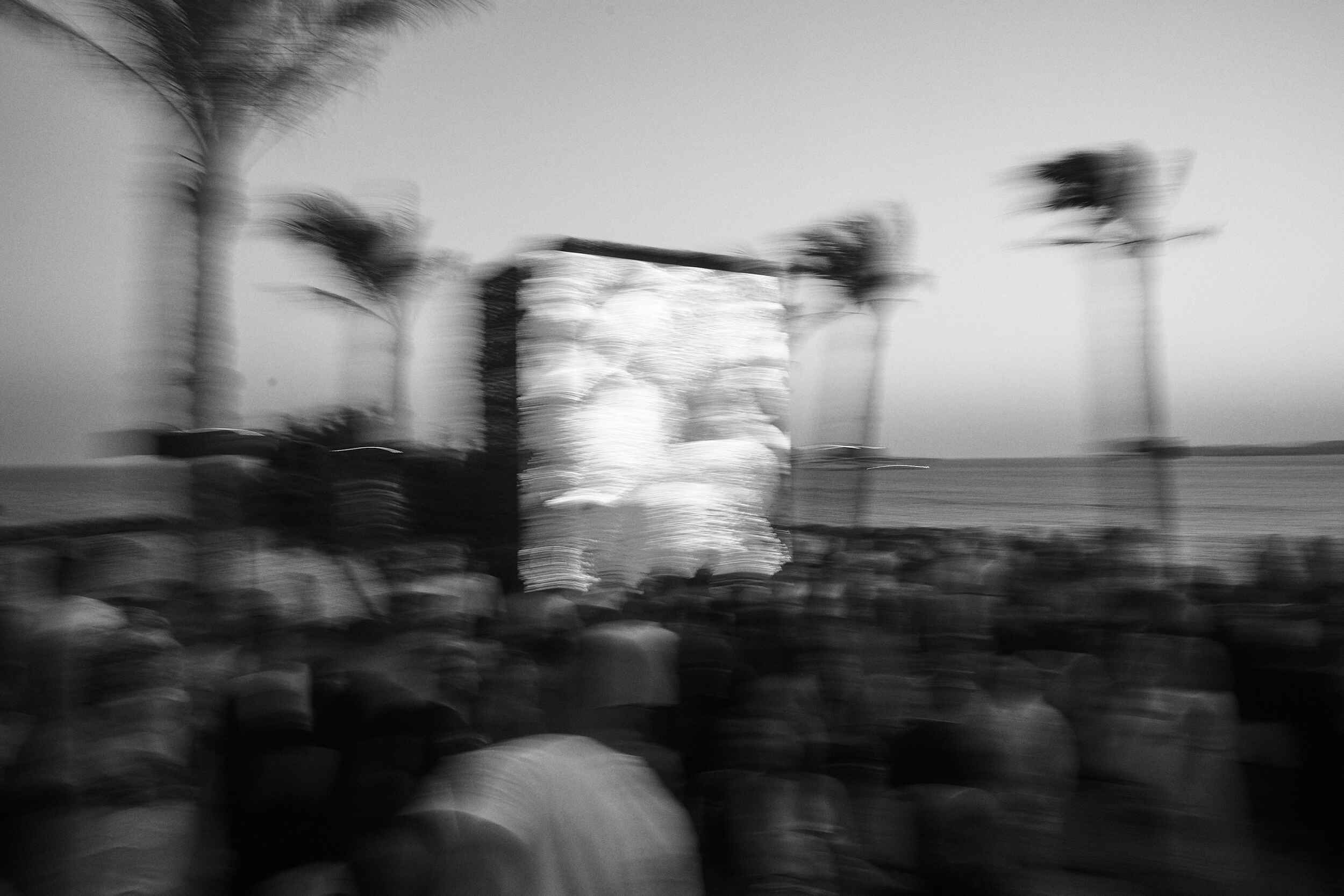 Blurred black-and-white image of a large group of people gathered near palm trees by the sea, with a bright light source in the background.